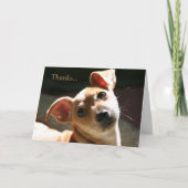 Bedankt voor het zijn mijn vriend (Voorkant)