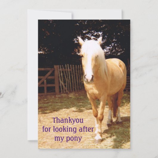 Bedankt voor je aandacht voor mijn pony (Voorkant)