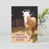 Bedankt voor je aandacht voor mijn pony (Staand voorkant)