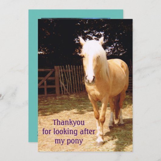 Bedankt voor je aandacht voor mijn pony (Voorkant / Achterkant)
