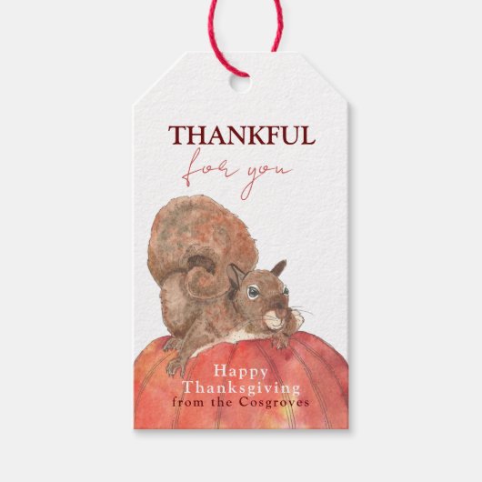 Bedankt voor je eekhoorn op Thanksgiving pompoen Cadeaulabel (Voorkant)