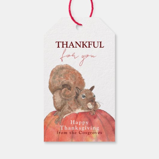Bedankt voor je eekhoorn op Thanksgiving pompoen Cadeaulabel (Achterkant)
