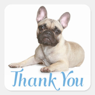 Bedankt voor je Franse Bulldog Puppy Dog Sticker