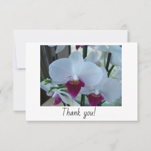 Bedankt voor je kaart met witte en paarse orchidee (Voorkant)
