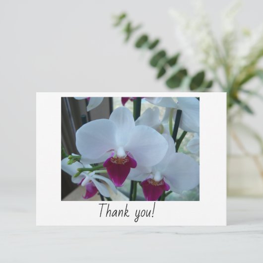 Bedankt voor je kaart met witte en paarse orchidee (Staand voorkant)