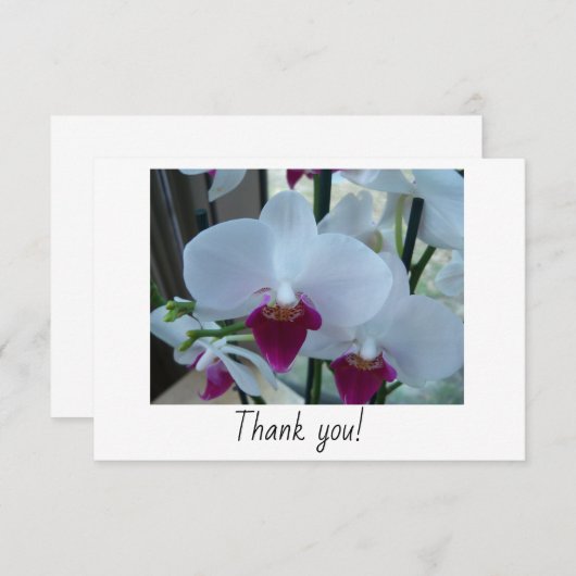 Bedankt voor je kaart met witte en paarse orchidee (Voorkant / Achterkant)