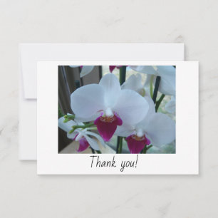 Bedankt voor je kaart met witte en paarse orchidee