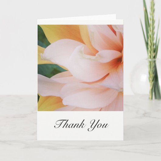 Bedankt voor je kaarten (Voorkant)