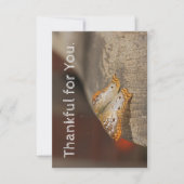 Bedankt voor je Thanksgiving kaart (Voorkant)