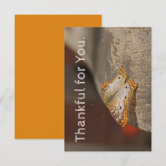 Bedankt voor je Thanksgiving kaart (Voorkant / Achterkant)