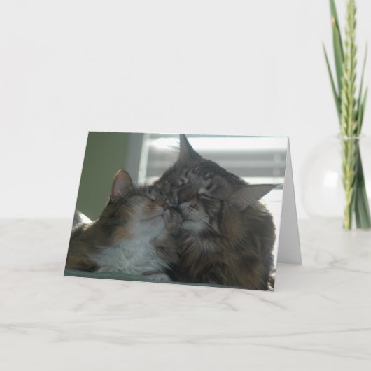 Bedankt voor je vriendschap (Voorkant)