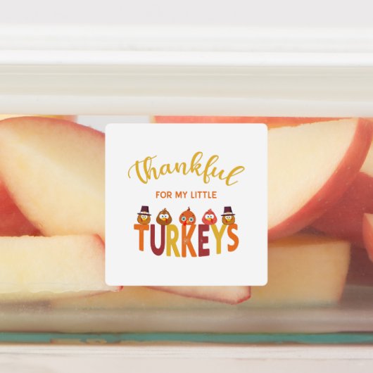 Bedankt voor mijn kleine kalkoenen labels (Aangebracht)