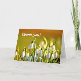 Bedankt voor Snowdrops Flowers