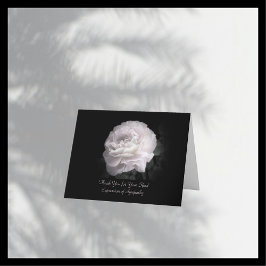 Bedankt voor Sympathie, Een Bleke Roze Roos