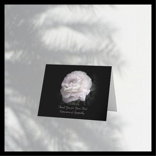 Bedankt voor Sympathie, Een Bleke Roze Roos