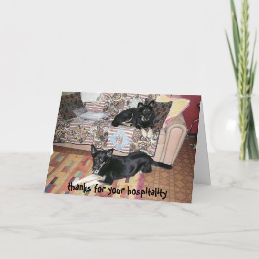 Bedankt voor uw gastvrijheid (honden) (Voorkant)
