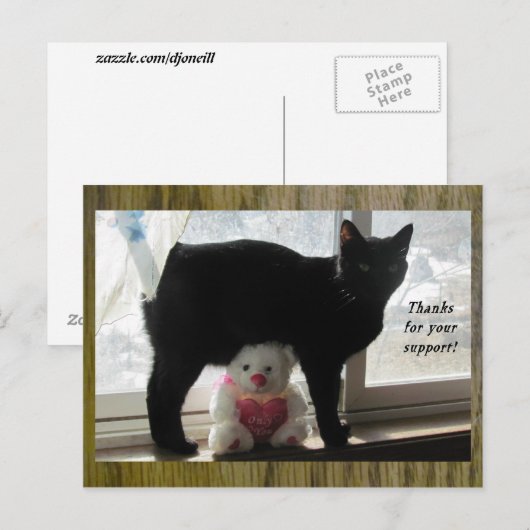 Bedankt voor uw steun zwarte kat en teddybeer briefkaart (Voorkant / Achterkant)