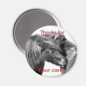 Bedankt voor uw zorg! Ponies krabmagneten Magneet (Voorkant / Achterkant)