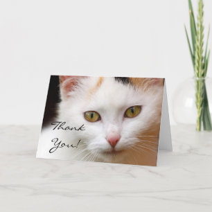 Bedankt White Cat wenskaart