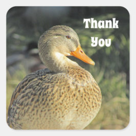 Bedankt Wild Duck Lake Bird Appreciation Vierkante Sticker