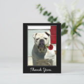 Bedankt Witte bulldog met roos briefkaart (Staand voorkant)