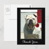 Bedankt Witte bulldog met roos briefkaart (Voorkant / Achterkant)