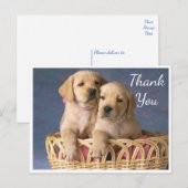 Bedankt Yellow Labrador Retriever Puppy Dogs Briefkaart (Voorkant / Achterkant)