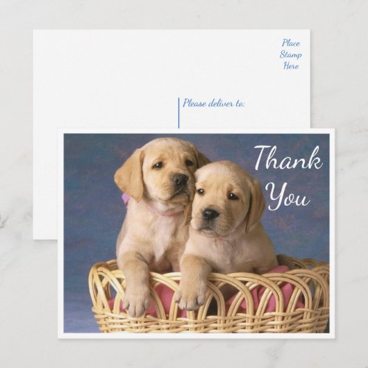 Bedankt Yellow Labrador Retriever Puppy Dogs Briefkaart (Voorkant / Achterkant)
