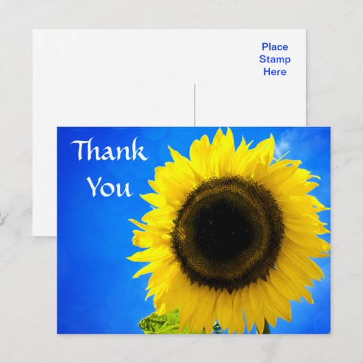 Bedankt Yellow Sunflower Groet Briefkaart (Voorkant / Achterkant)