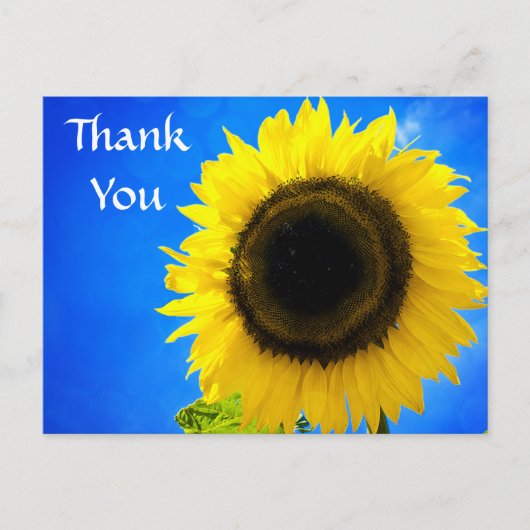 Bedankt Yellow Sunflower Groet Briefkaart (Voorkant)