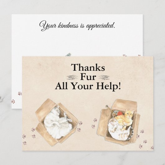 Bedankt zijn voor al je hulp! Katten in dozen, bed (Voorkant / Achterkant)