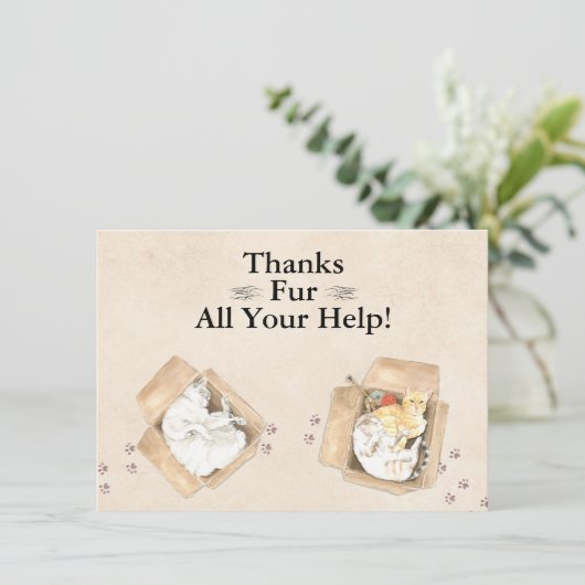 Bedankt zijn voor al je hulp! Katten in dozen, bed (Staand voorkant)