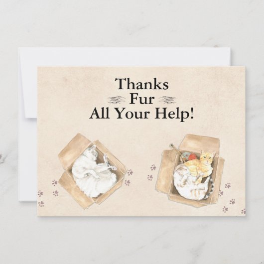 Bedankt zijn voor al je hulp! Katten in dozen, bed (Voorkant)