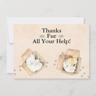 Bedankt zijn voor al je hulp! Katten in dozen, bed