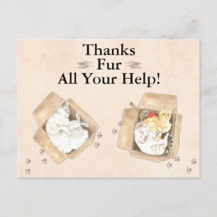 Bedankt zijn voor al je hulp! Katten in dozen, bed Briefkaart