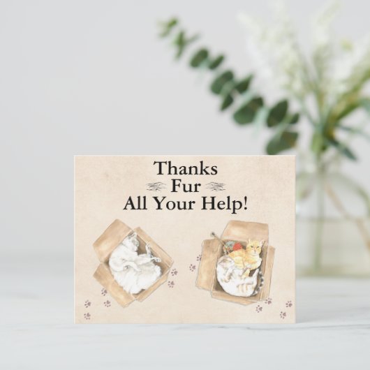 Bedankt zijn voor al je hulp! Katten in dozen, bed Briefkaart (Staand voorkant)