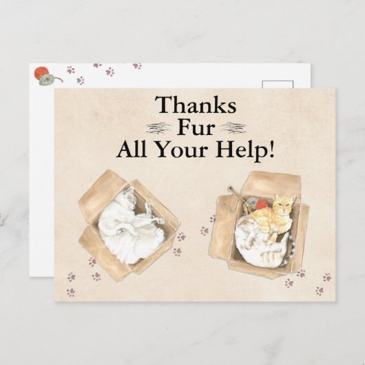 Bedankt zijn voor al je hulp! Katten in dozen, bed Briefkaart (Voorkant / Achterkant)