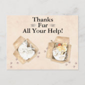 Bedankt zijn voor al je hulp! Katten in dozen, bed Briefkaart (Voorkant)