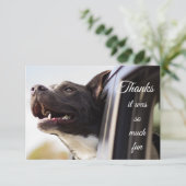 Bedankt zo veel vlot om uit het venster te lopen (Staand voorkant)