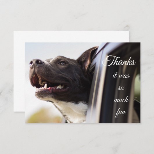 Bedankt zo veel vlot om uit het venster te lopen (Voorkant / Achterkant)