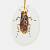BEDAZZLED ROACH KERAMISCH ORNAMENT (Voorkant)