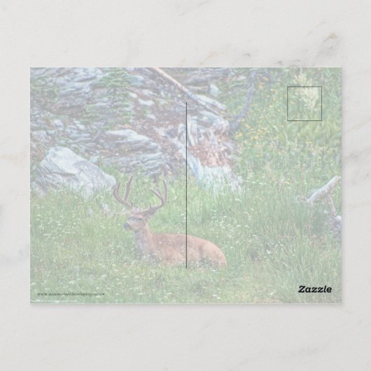 Beddenbok Briefkaart (Achterkant)