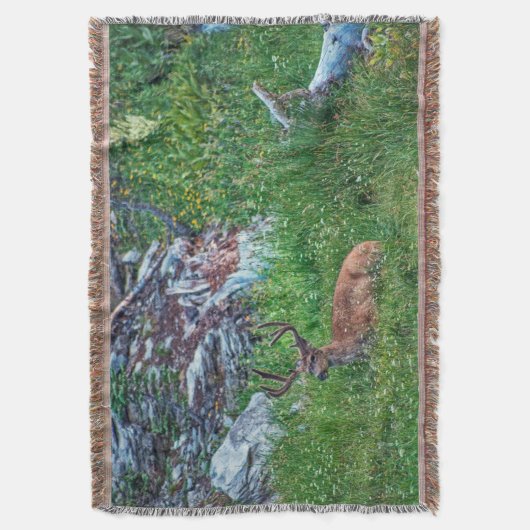 Beddenbok Deken (Voorkant Verticaal)