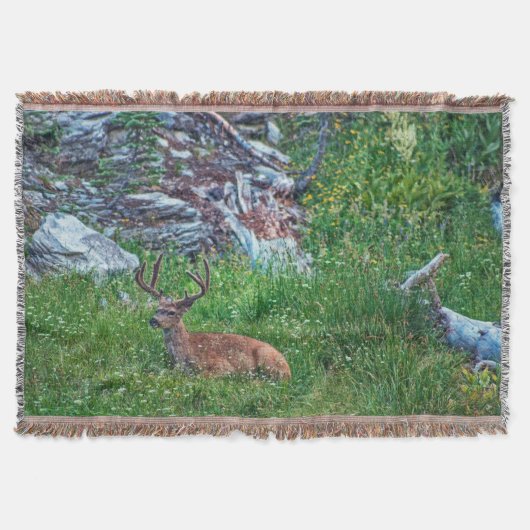 Beddenbok Deken (Voorkant)