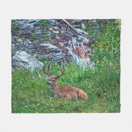 Beddenbok Fleece Deken (Voorkant (Horizontaal))