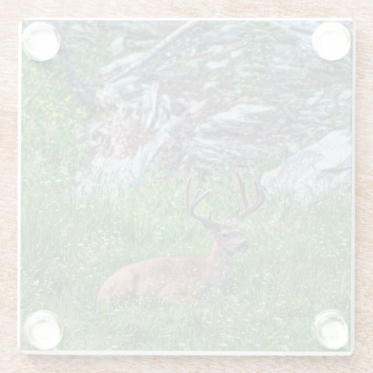 Beddenbok Glazen Onderzetter (Achterkant)