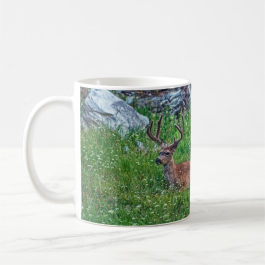 Beddenbok Koffiemok (Links)