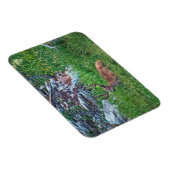 Beddenbok Magneet (Rechterzijde)