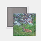 Beddenbok Magneet (Voorkant / Achterkant)