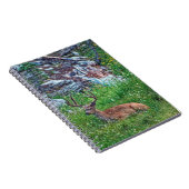 Beddenbok Notitieboek (Rechterzijde)